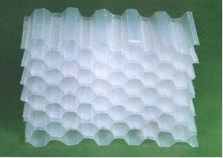 ���Ƿ�C��s������